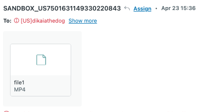 Zendesk agent view 4